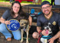 Adoção: Praça Bolívia sedia feira de cães neste domingo Adoção: Praça Bolívia sedia feira de cães neste domingo