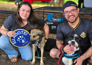 Adoção: Praça Bolívia sedia feira de cães neste domingo Adoção: Praça Bolívia sedia feira de cães neste domingo