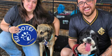 Adoção: Praça Bolívia sedia feira de cães neste domingo  
