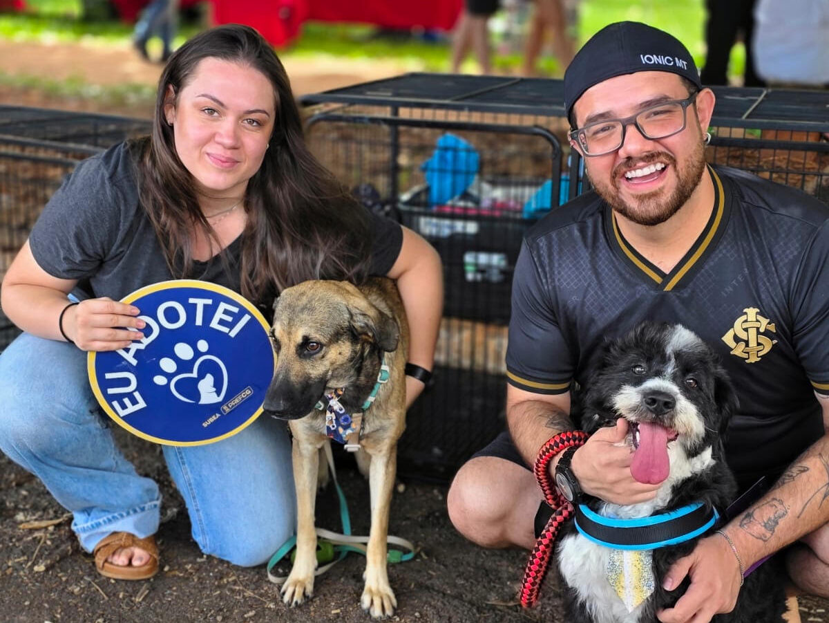 Adoção: Praça Bolívia sedia feira de cães neste domingo  