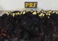 Mala com 18 quilos de cabelo humano é apreendida em ônibus na BR-262 Mala com 18 quilos de cabelo humano é apreendida em ônibus na BR-262