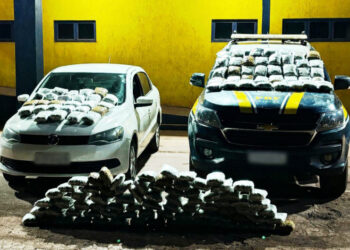Mulher é presa com mais de 77 quilos de skunk escondidos em carro na BR-262 Mulher é presa com mais de 77 quilos de skunk escondidos em carro na BR-262