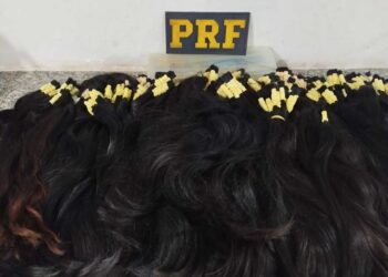 Mala com 18 quilos de cabelo humano é apreendida em ônibus na BR-262 Mala com 18 quilos de cabelo humano é apreendida em ônibus na BR-262