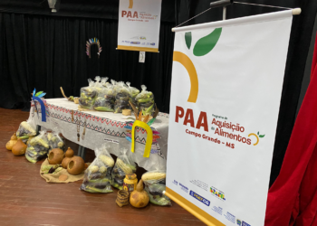 Programa de alimentos abre cadastro para projetos sociais Programa de alimentos abre cadastro para projetos sociais