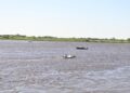 Rio Paraguai mantém nível normal, mas começa a baixar em MS Rio Paraguai mantém nível normal, mas começa a baixar em MS