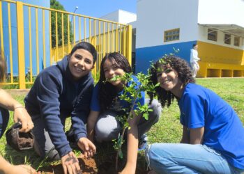 Plantio de árvores aproxima estudantes da natureza da Reme