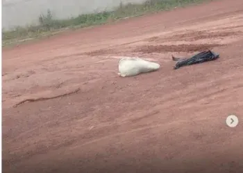 Corpo é encontrado dentro de saco em estrada de terra Corpo é encontrado dentro de saco em estrada de terra