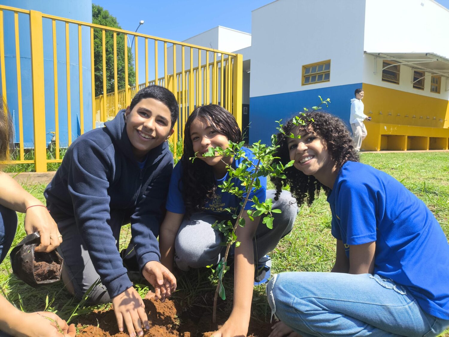 Plantio de árvores aproxima estudantes da natureza da Reme
