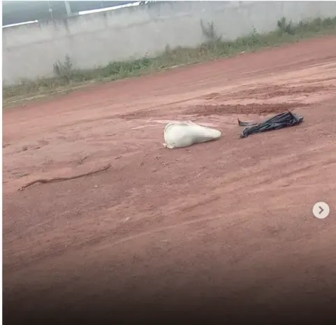 Corpo é encontrado dentro de saco em estrada de terra