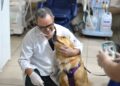 Cassems de Dourados recebe cães em visita que levou afeto e alegria aos pacientes Cassems de Dourados recebe cães em visita que levou afeto e alegria aos pacientes