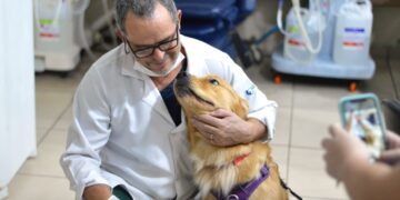 Cassems de Dourados recebe cães em visita que levou afeto e alegria aos pacientes