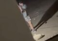 Vídeo: Mulher é presa após espancar cachorro e agredir companheira em Campo Grande Vídeo: Mulher é presa após espancar cachorro e agredir companheira em Campo Grande
