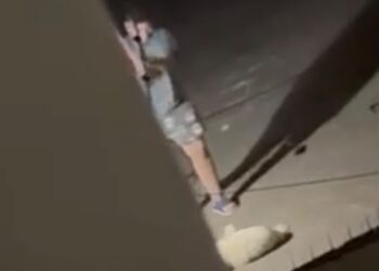 Vídeo: Mulher é presa após espancar cachorro e agredir companheira em Campo Grande Vídeo: Mulher é presa após espancar cachorro e agredir companheira em Campo Grande