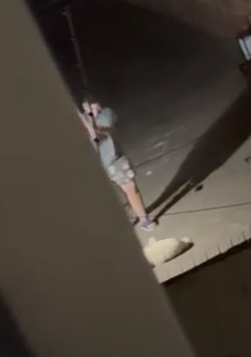 Vídeo: Mulher é presa após espancar cachorro e agredir companheira em Campo Grande