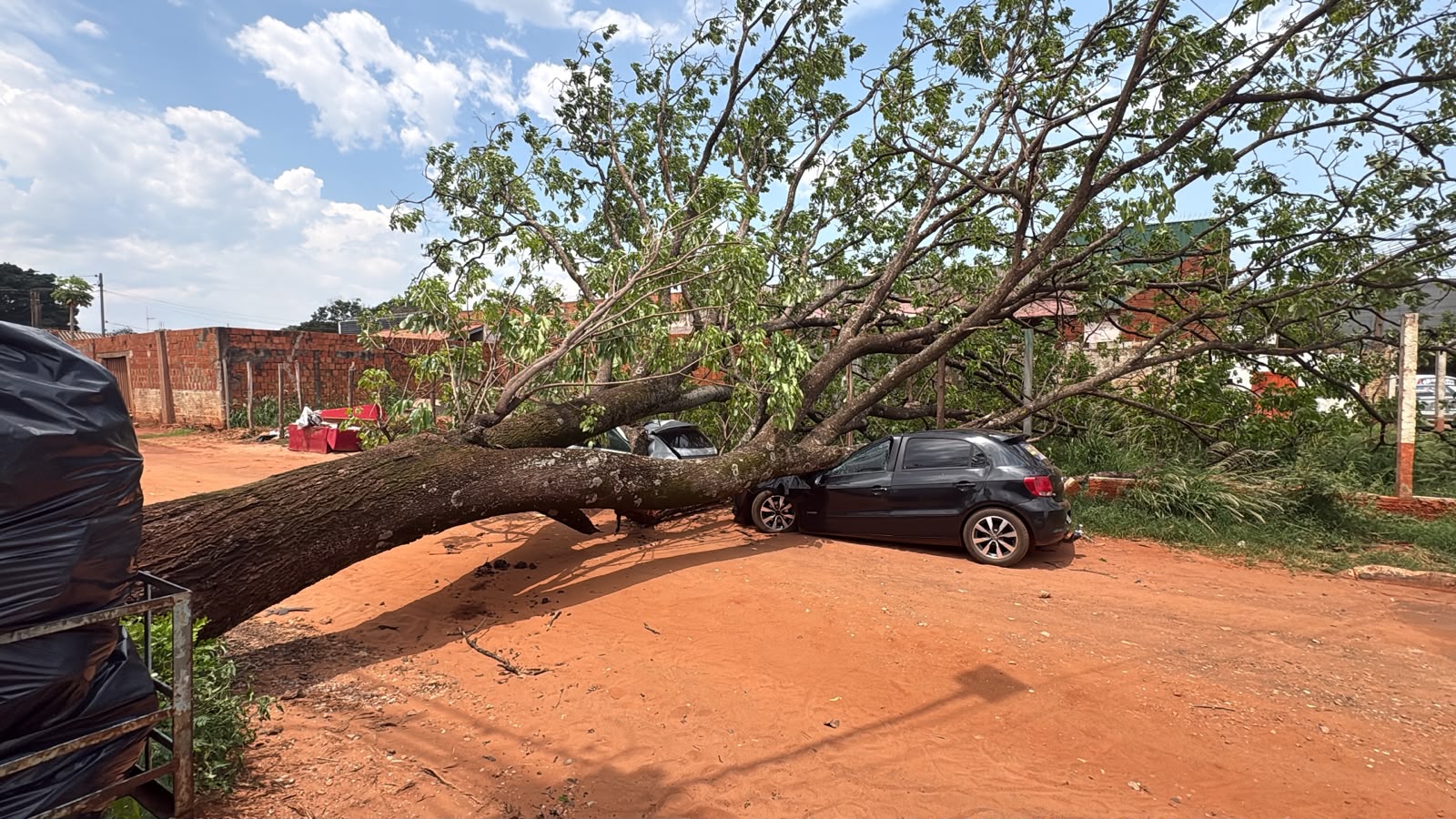 Árvore cai sobre dois carros durante forte ventania no Parque do Lageado