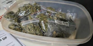 Adolescente de 15 anos é apreendida com 600 gramas de skunk