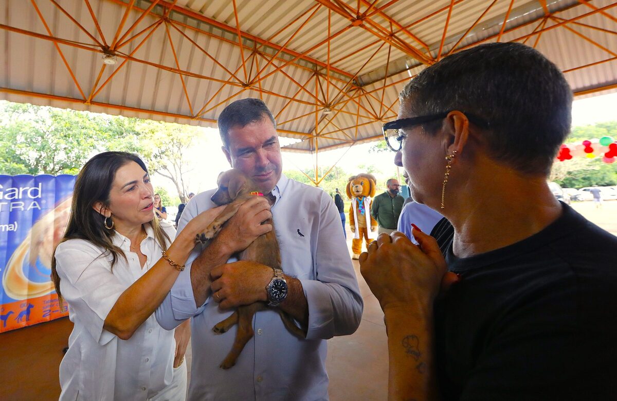 Castração gratuita atende 25 mil cães e gatos em Mato Grosso do Sul