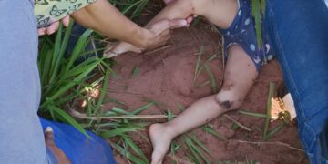 Pai e filha ficam feridos após moto elétrica ser atingida por caminhonete na BR-163