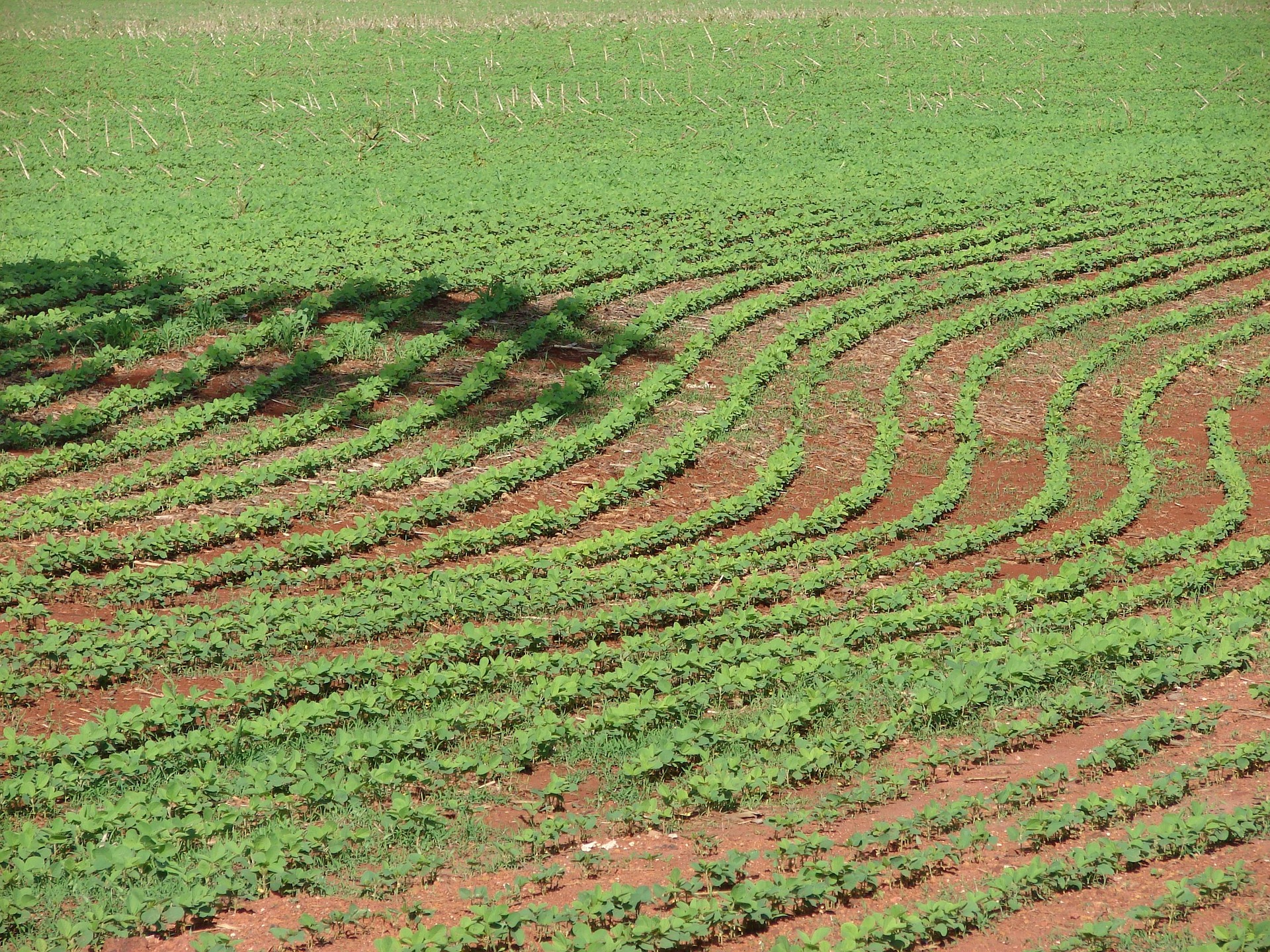 Produção Agrícola Municipal supera R$ 1 bi em 2025