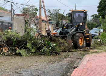 Campo Grande mantém força-tarefa para reparar estragos após temporal Campo Grande mantém força-tarefa para reparar estragos após temporal