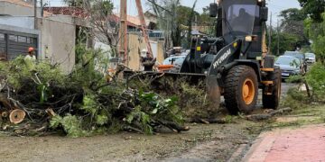 Campo Grande mantém força-tarefa para reparar estragos após temporal
