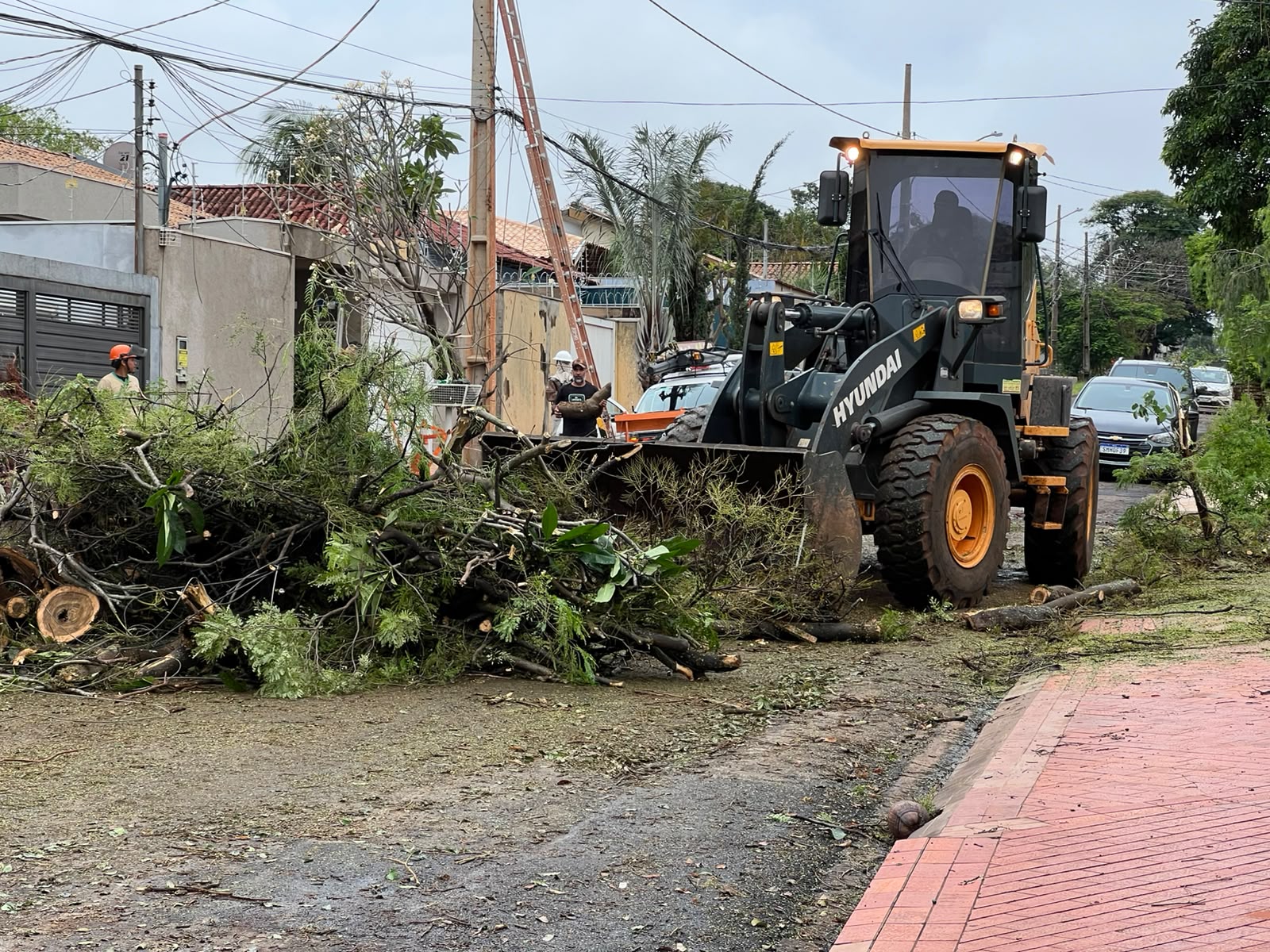 Campo Grande mantém força-tarefa para reparar estragos após temporal