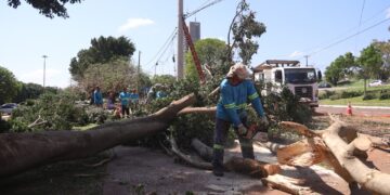 Campo Grande decreta situação de emergência após temporal com ventos de quase 100 km/h