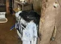 Homem incendeia casa, persegue mulher com facas e acaba preso