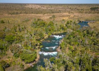 Nova unidade reforça proteção do Pantanal em Mato Grosso do Sul
