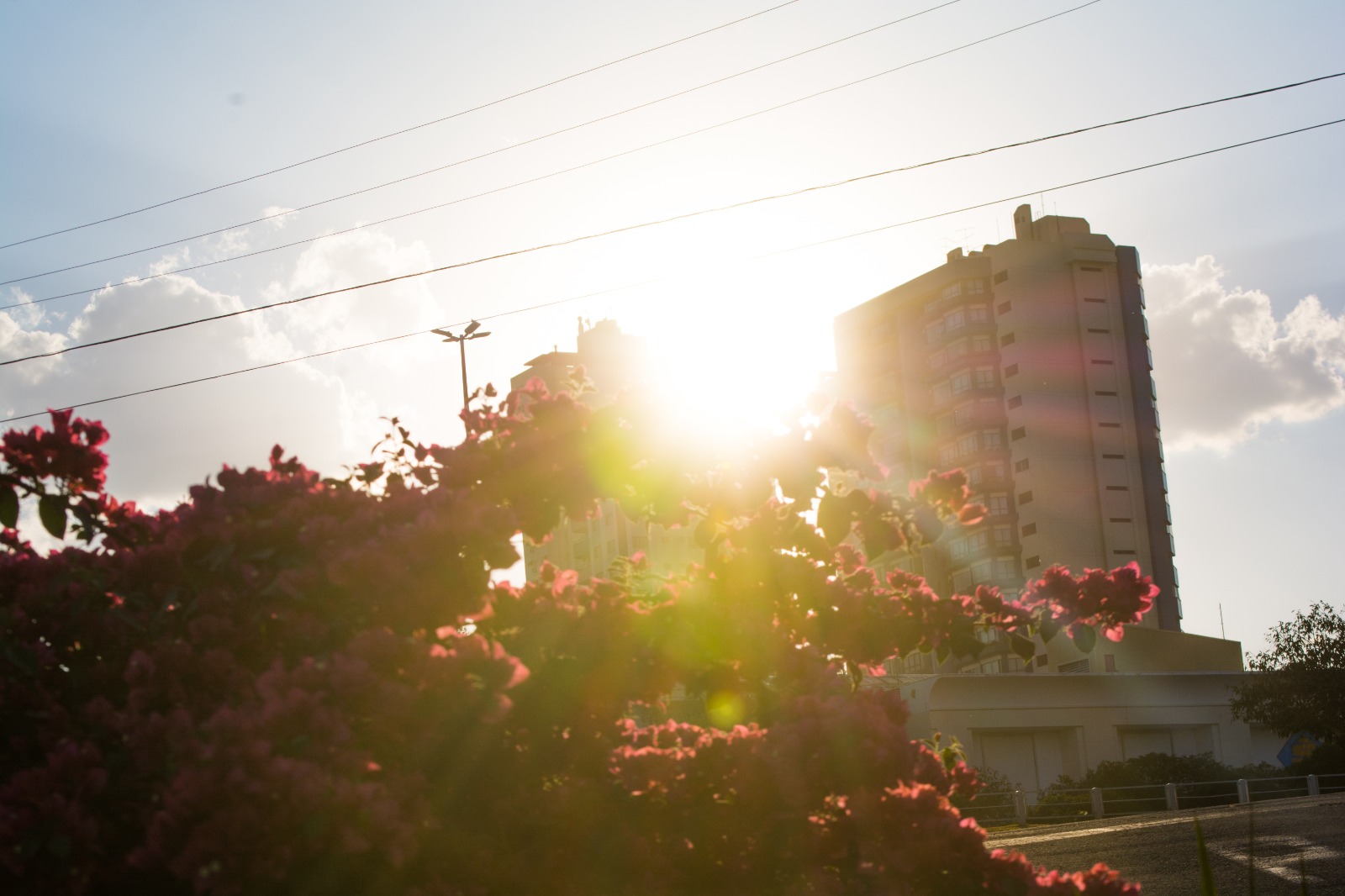 Com risco de altas temperaturas, Defesa Civil emite alerta vermelho 
