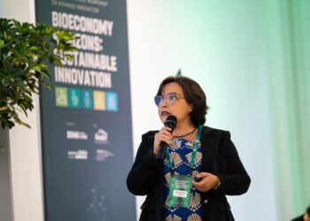 Brasil e Alemanha discutem novas tecnologias para uso da biomassa