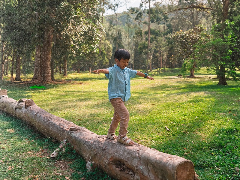 Nova lei garante a crianças e adolescentes direito ao contato com a natureza