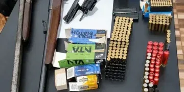Violência doméstica termina com apreensão de três armas e munições no interior de MS
