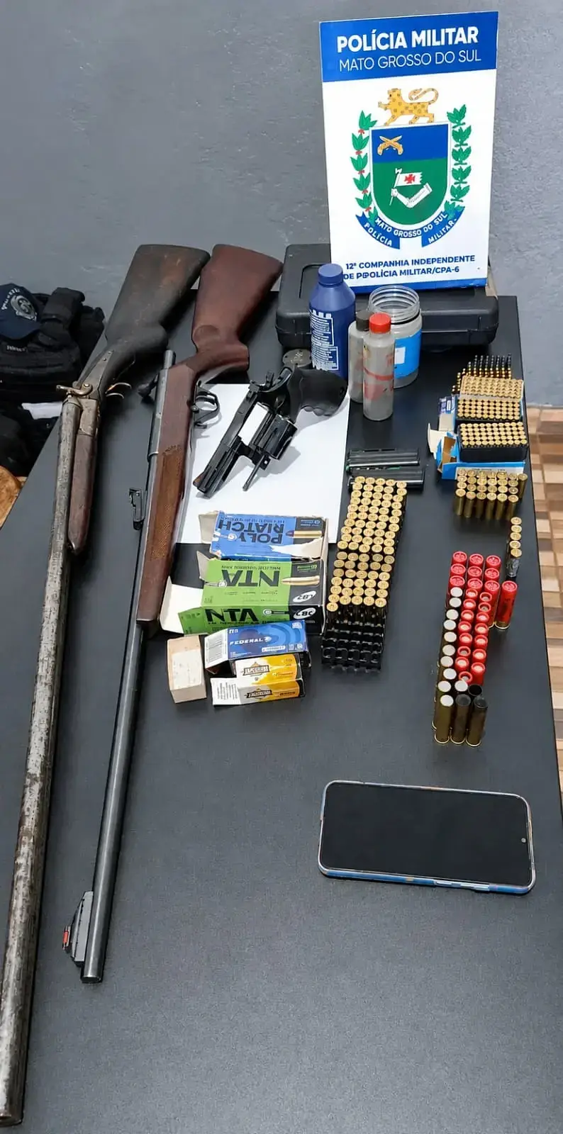 Violência doméstica termina com apreensão de três armas e munições no interior de MS