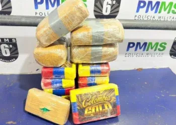 Mulher é presa com quase 15 kg de drogas em rodoviária Mulher é presa com quase 15 kg de drogas em rodoviária