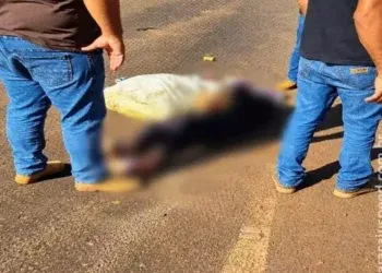 Idosa morre após ser atropelada por carreta em rodovia Idosa morre após ser atropelada por carreta em rodovia