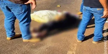 Idosa morre após ser atropelada por carreta em rodovia