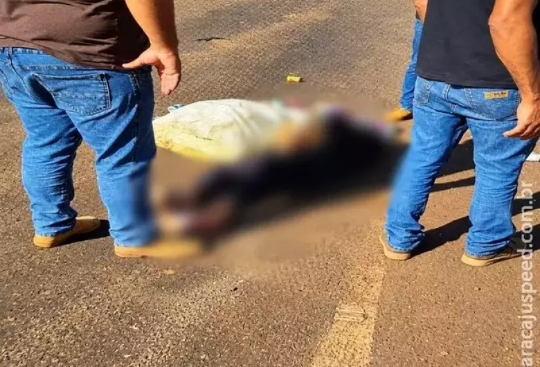 Idosa morre após ser atropelada por carreta em rodovia