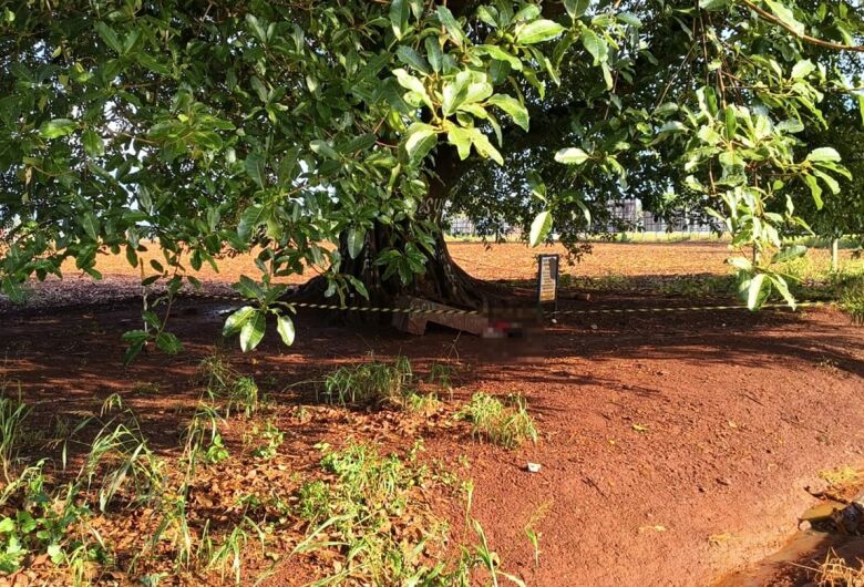 Homem é encontrado morto sob figueira às margens de rodovia em Dourados