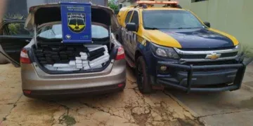 Carga de 701 quilos de maconha é apreendida durante abordagem