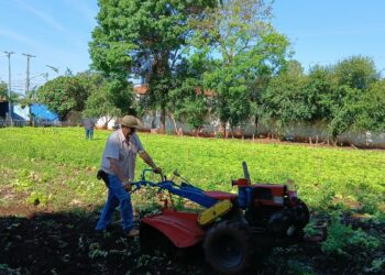 Cultivo de horta urbana vira ação solidária Cultivo de horta urbana vira ação solidária