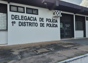 Cadela reaparece em estado grave e polícia investiga suspeita de abuso sexual