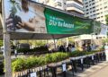 10 mil mudas frutíferas serão distribuídas neste sábado 10 mil mudas frutíferas serão distribuídas neste sábado