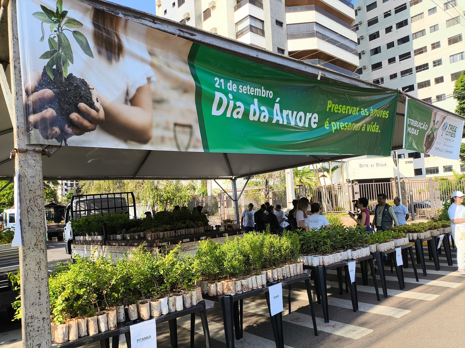 10 mil mudas frutíferas serão distribuídas neste sábado