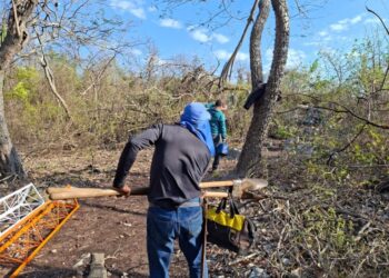 Tecnologia amplia monitoramento contra incêndios no Pantanal