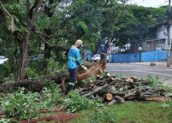 Prevenção climática, novas equipes e infraestrutura marcam a semana