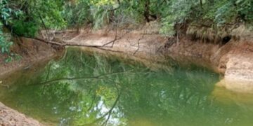 Seca faz Rio da Prata perder fluxo de água e coloca peixes em risco em Jardim