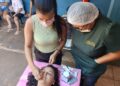 Mulheres participam de curso para fortalecer negócios Mulheres participam de curso para fortalecer negócios