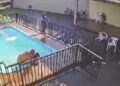 Imagens fortes: Câmeras flagram homem sendo morto a tiros dentro de piscina no Jardim Tarumã