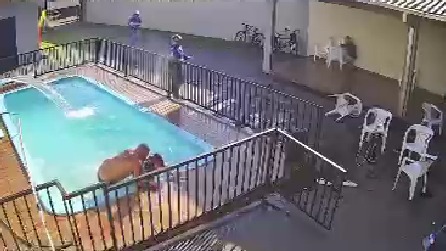 Imagens fortes: Câmeras flagram homem sendo morto a tiros dentro de piscina no Jardim Tarumã